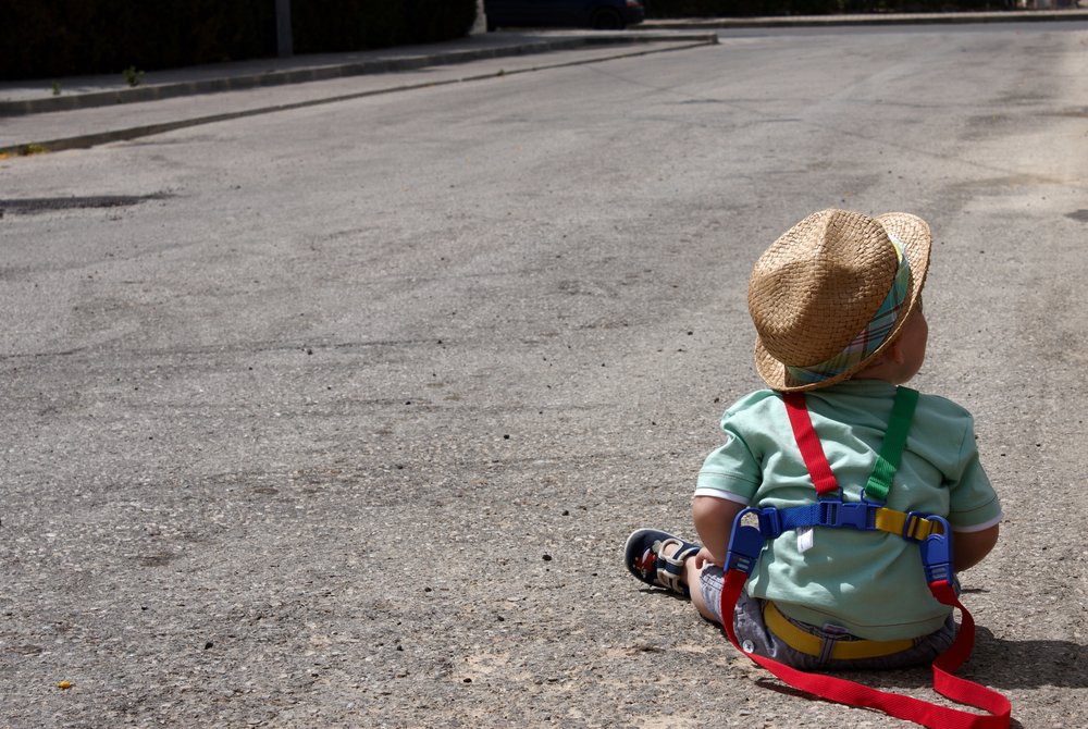 Best Toddler Harness Guide & Reviews